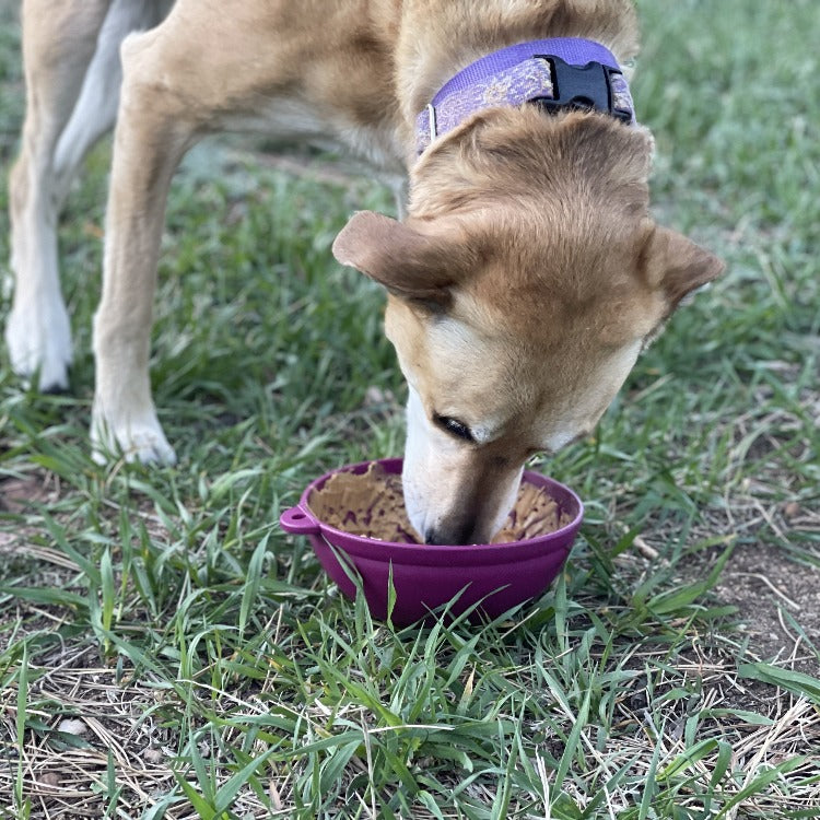 Garden of Eatin' Tipsy Bowl