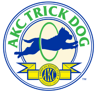 AKC Trick Dog Evaluation